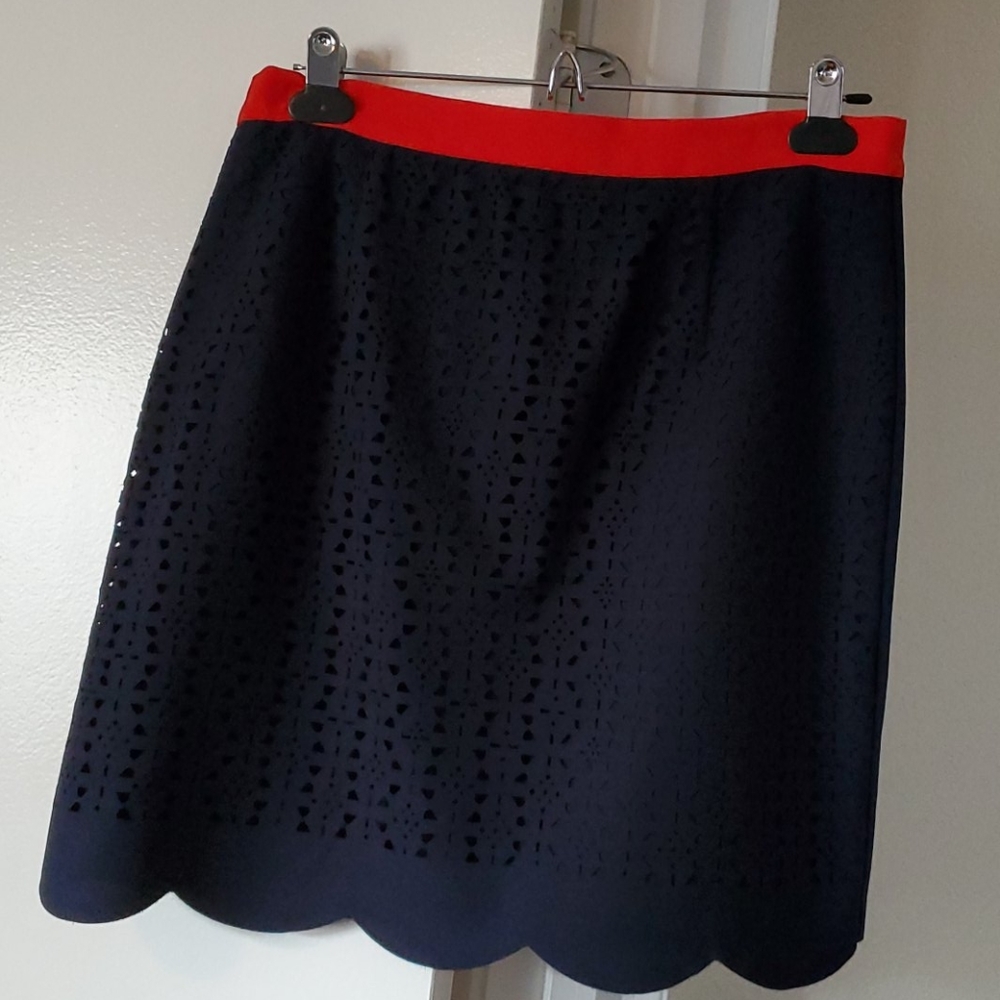 Dressy Skirt